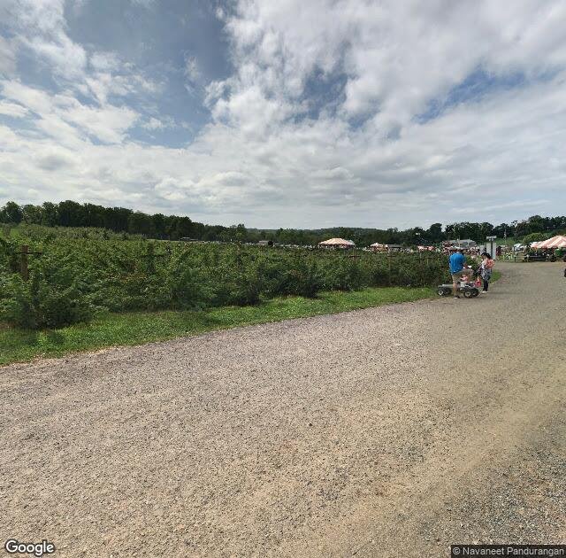 Alstede Farms in Chester, NJ