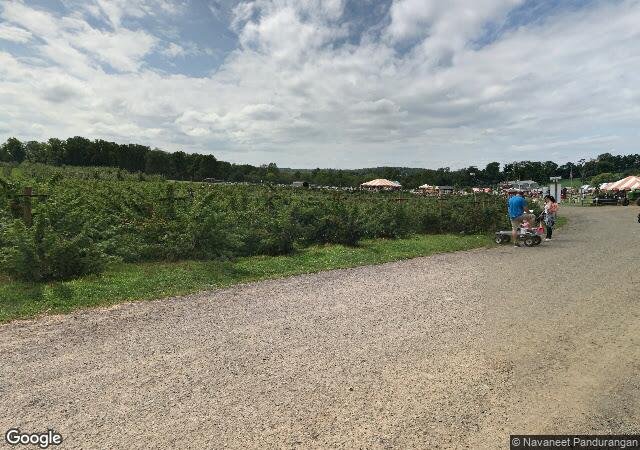 Alstede Farms in Chester, NJ