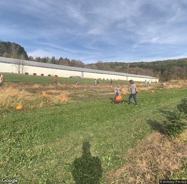 Angevine Farm in Warren, CT