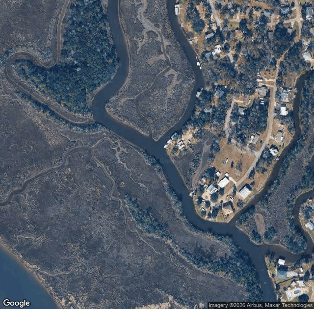 Aerial view of A&W Christmas Tree Farm in Pascagoula, MS
