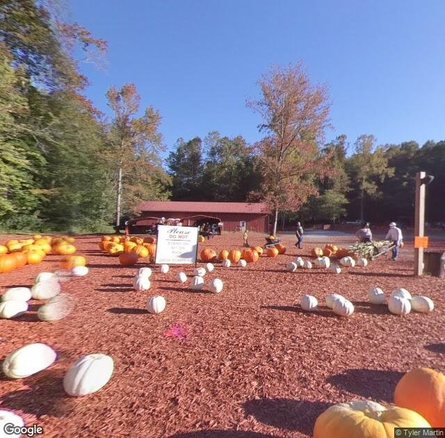 Burt's Farm in Dawsonville, GA