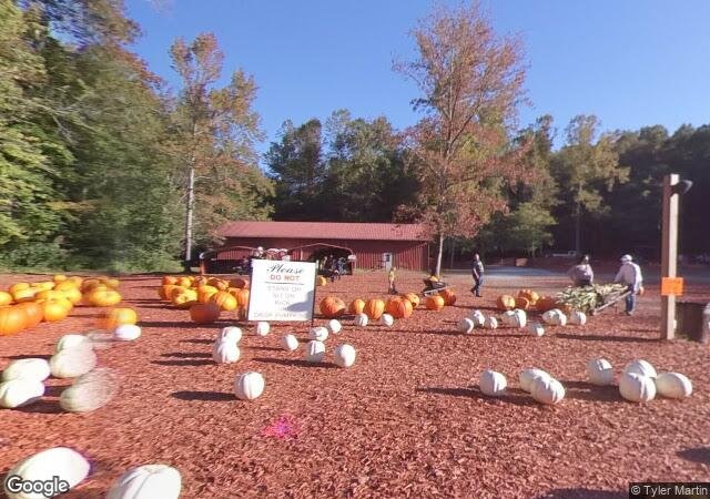 Burt's Farm in Dawsonville, GA