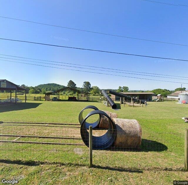 Carlton Farms Corn Maze and Pumpkin Patch in Rockmart, GA