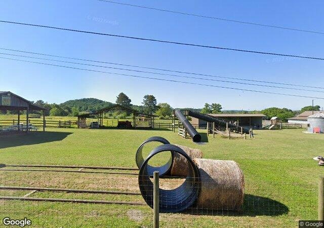 Carlton Farms Corn Maze and Pumpkin Patch in Rockmart, GA