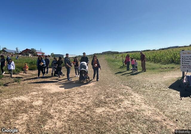 Dewberry Farm in Brookshire, TX