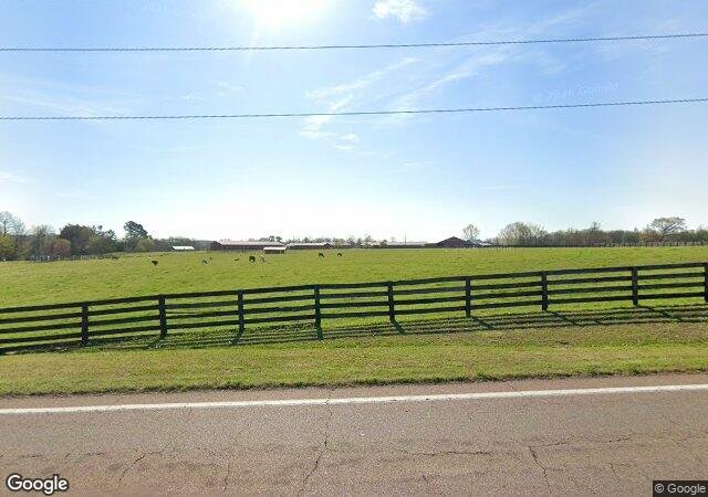 Falcon Ridge Farm in Toone, TN