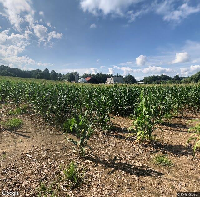 Grandad's Apples 'N Such in Hendersonville, NC
