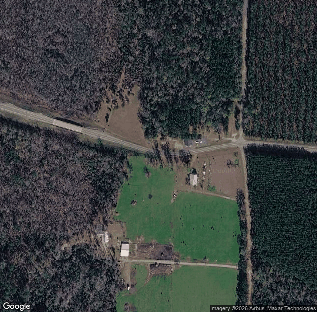 Aerial view of Grant Christmas Tree Farm, Inc. in Pitkin, LA