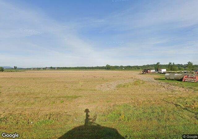 Hal's Pumpkin Patch in Ferndale, WA
