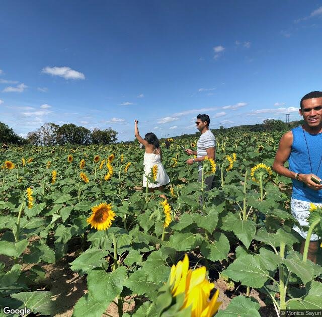 Happy Day Farm in Manalapan, NJ