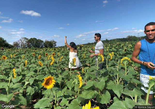 Happy Day Farm in Manalapan, NJ