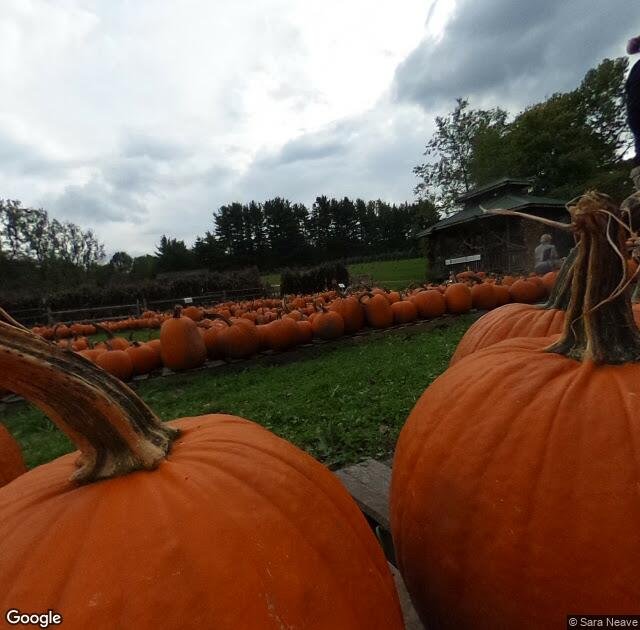 Heritage Farms Pumpkin Pandemonium in Peninsula, OH