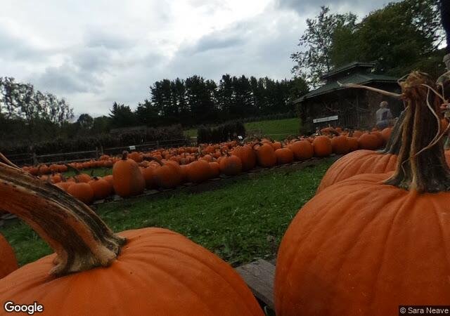 Heritage Farms Pumpkin Pandemonium in Peninsula, OH
