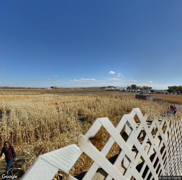 Lattin Farm's Corn Maze & Fall Festival in Fallon, NV