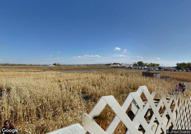 Lattin Farm's Corn Maze & Fall Festival in Fallon, NV