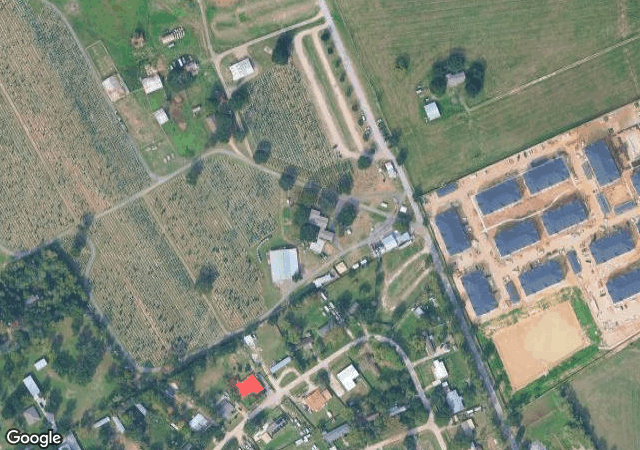 Aerial view of Old Time Christmas Tree Farm Pumpkin Patch in Spring, TX