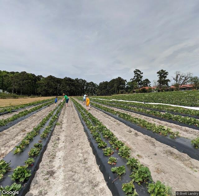 Ottawa Farms in Bloomingdale, GA