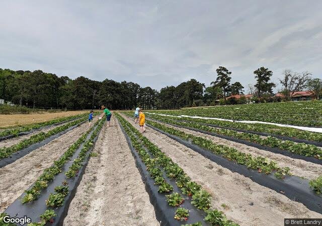 Ottawa Farms in Bloomingdale, GA