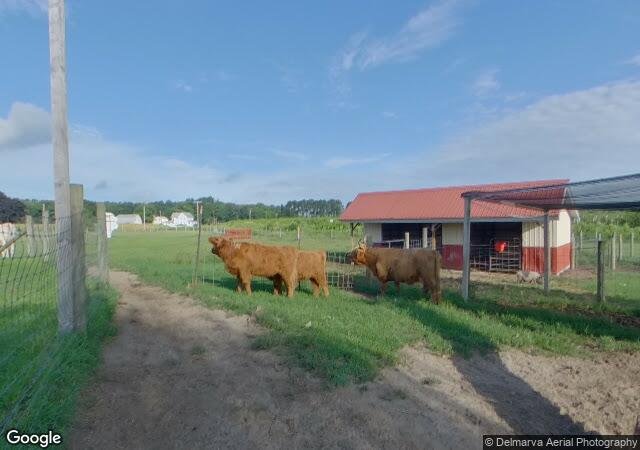 Parsons Farms Produce in Dagsboro, DE