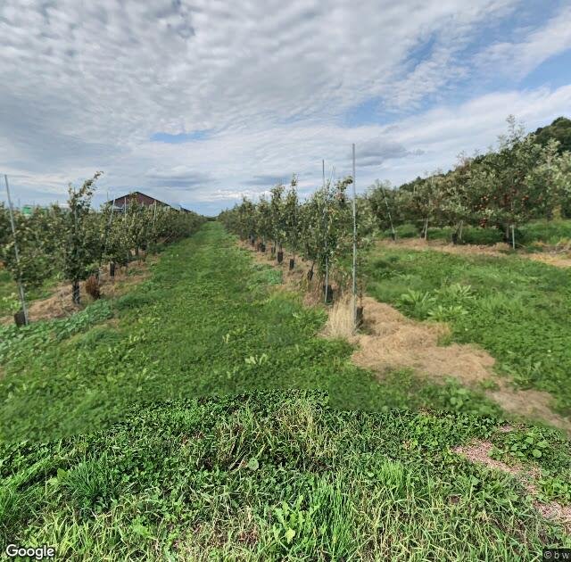 Patch Orchards in Lebanon, NH