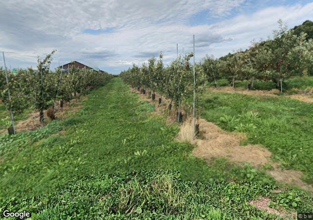 Patch Orchards in Lebanon, NH