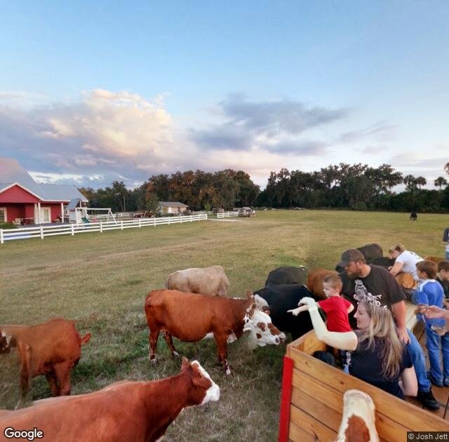 Red House Ranch in Micanopy, FL
