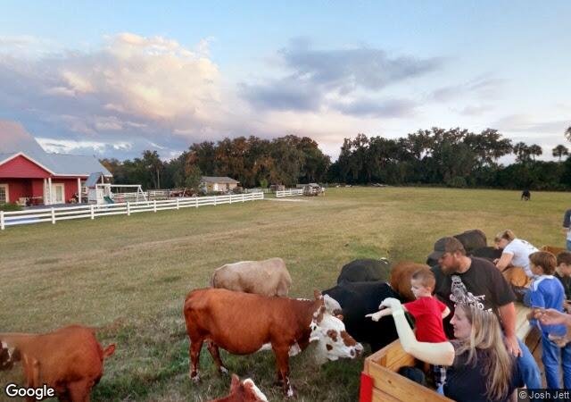 Red House Ranch in Micanopy, FL