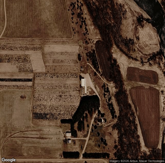 Aerial view of Rivertree Christmas Tree Farm and Pumpkin Patch in Canton, SD