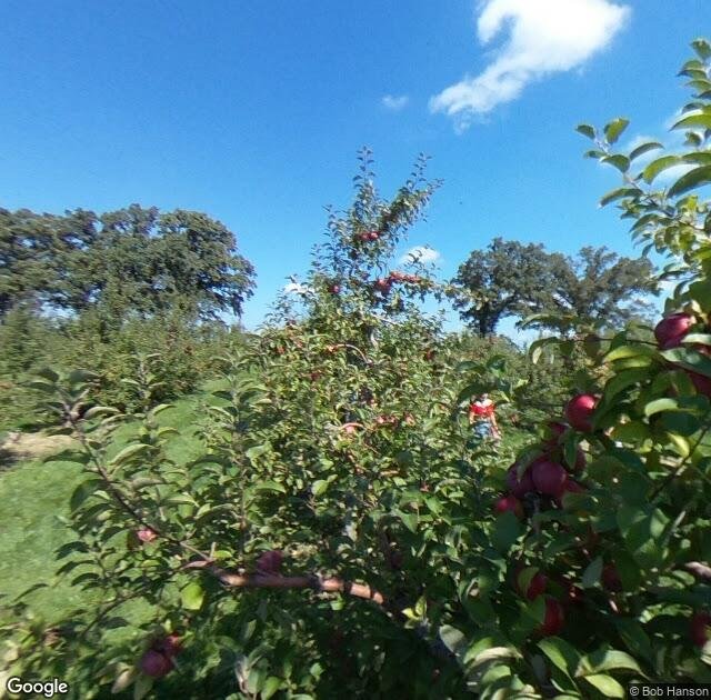 Royal Oak Farm Orchard in Harvard, IL