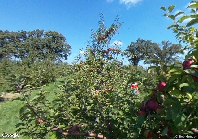 Royal Oak Farm Orchard in Harvard, IL