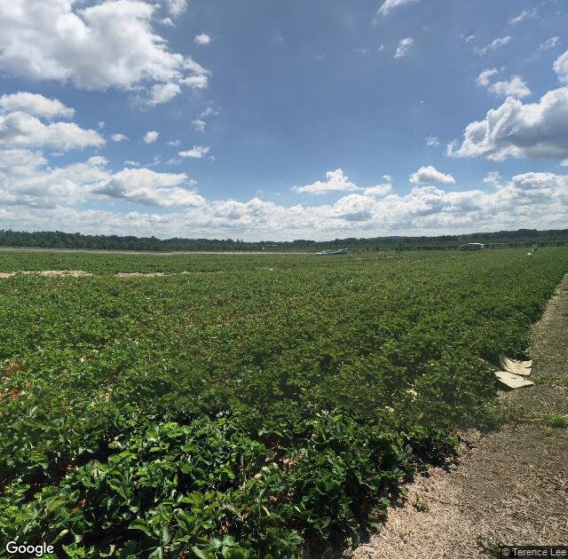 Samascott Orchards in Kinderhook, NY