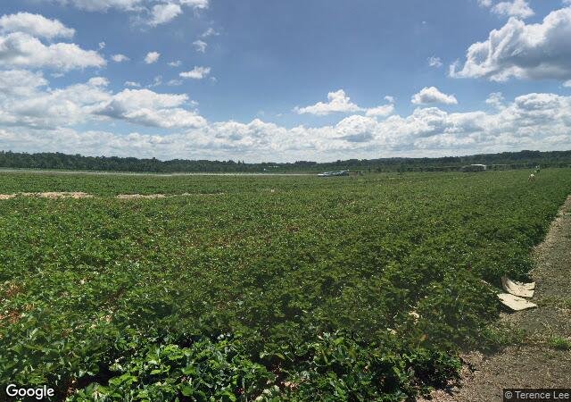 Samascott Orchards in Kinderhook, NY