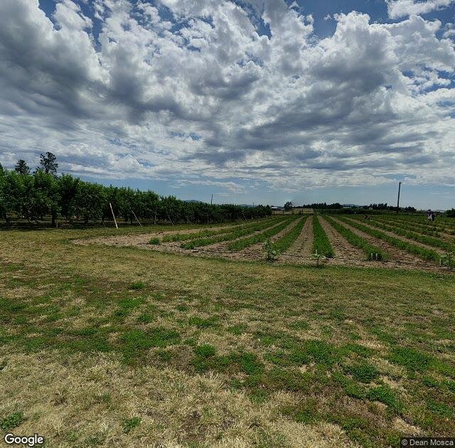 Siemers Farm in Mead, WA