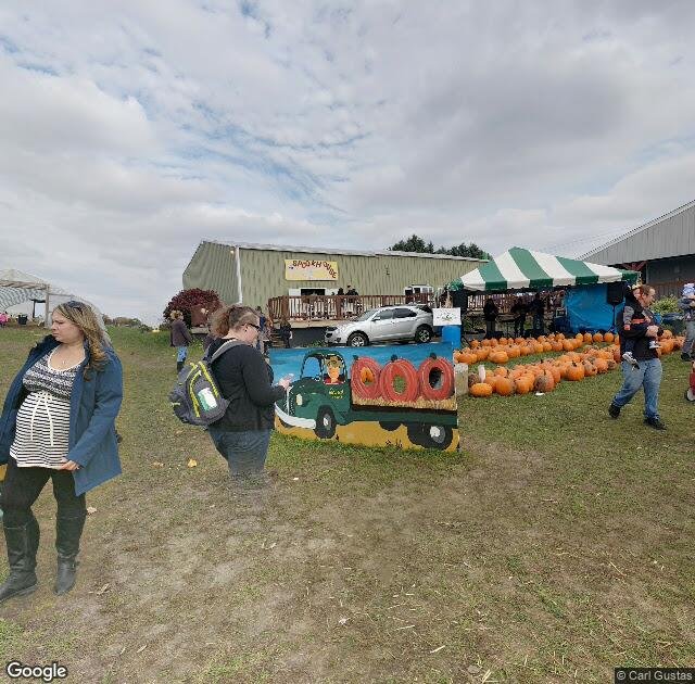 Swan's Pumpkin Farm in Franksville, WI