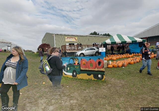 Swan's Pumpkin Farm in Franksville, WI