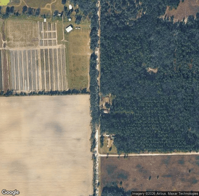 Aerial view of The Bryer Patch Farm in Newberry, FL