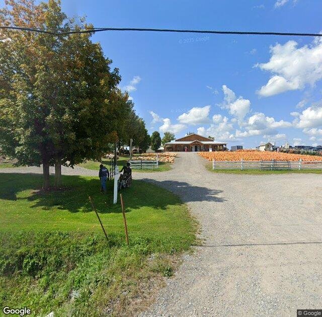 Tim's Pumpkin Patch in Marietta, NY