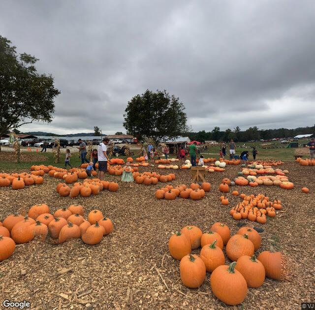 Warbington Farms in Cumming, GA